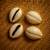 Four Cowrie Shell